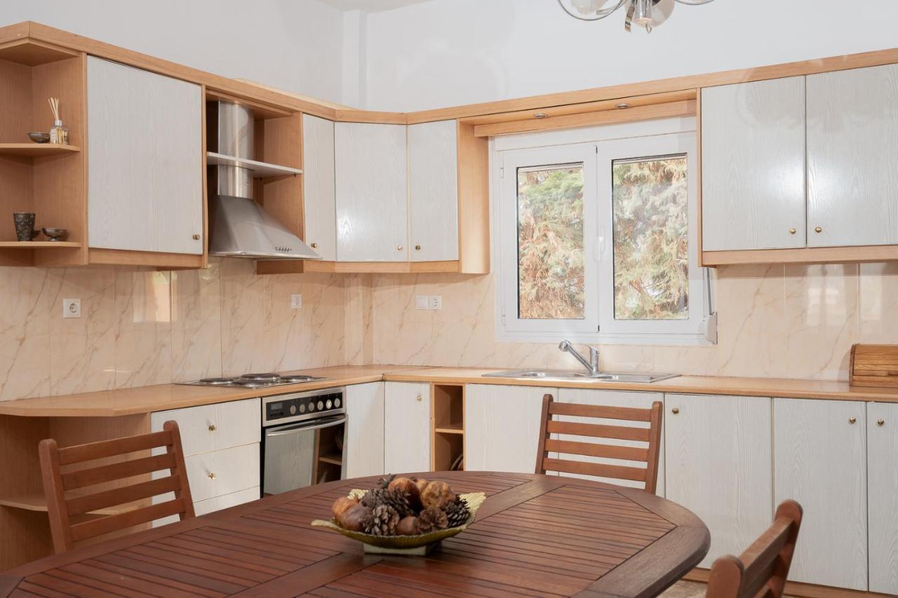 Mtc-D Apartments By The Sea And Airport Pórto Ráfti エクステリア 写真